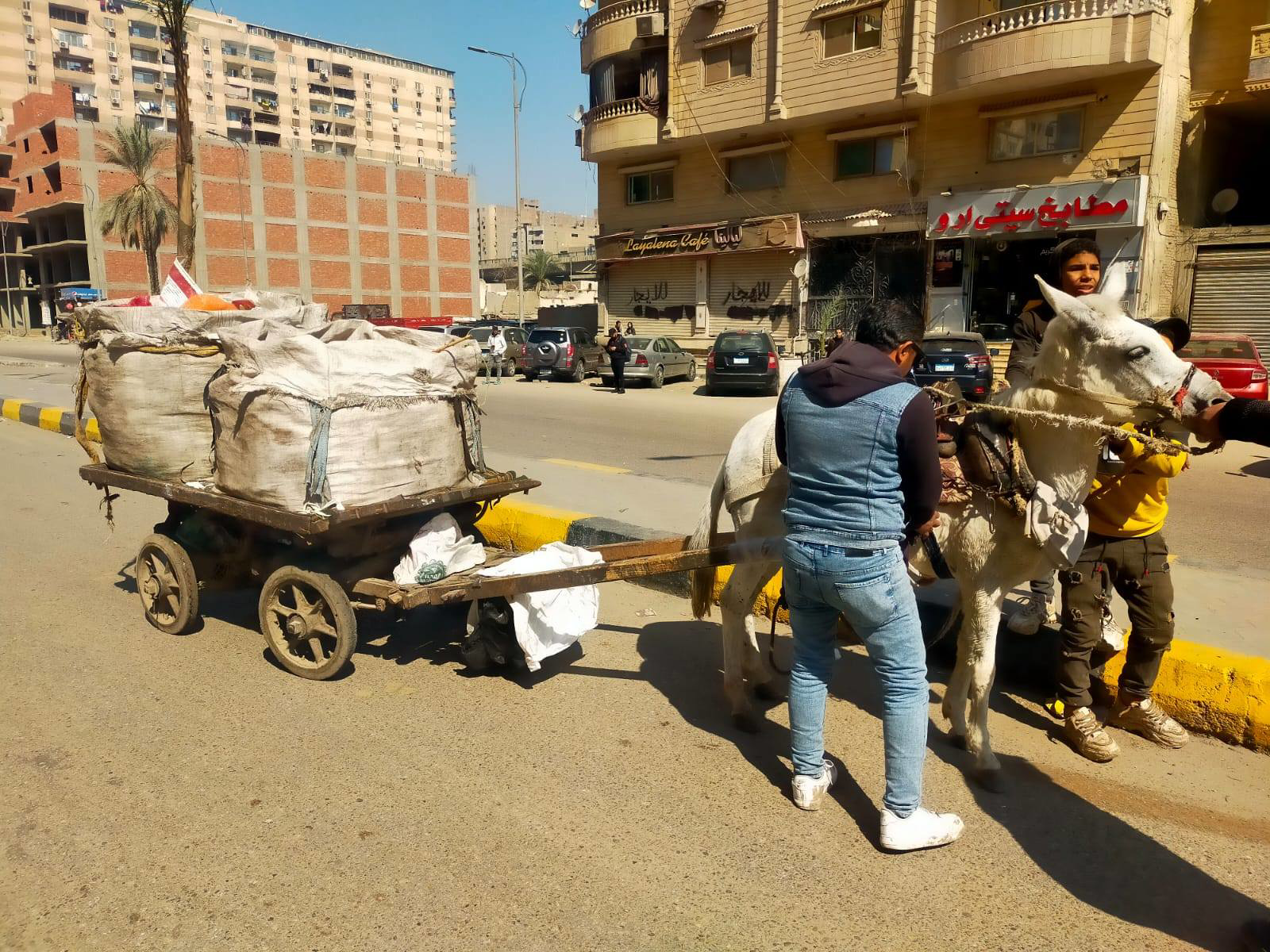 ضربة قوية لنباشين القمامة بالجيزة.. ضبط 24 عربة كارو وتروسيكل في أكبر حملة بالمحافظة